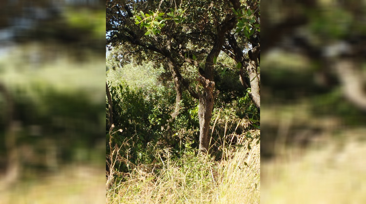 Ma-Cabane - Vente Appartement Saint-Aunès, 80 m²