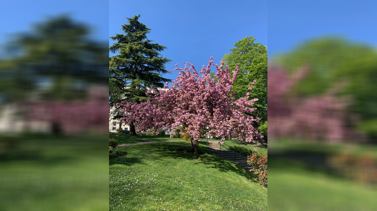 Ma-Cabane - Vente Appartement SAINT-CLOUD, 64 m²