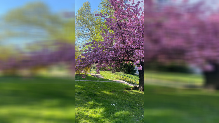 Ma-Cabane - Vente Appartement SAINT-CLOUD, 75 m²