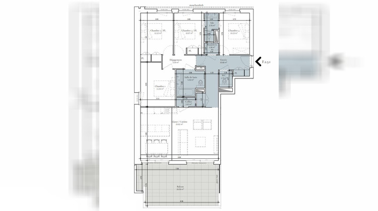 Ma-Cabane - Vente Appartement SAINT-DIDIER-AU-MONT-D'OR, 114 m²