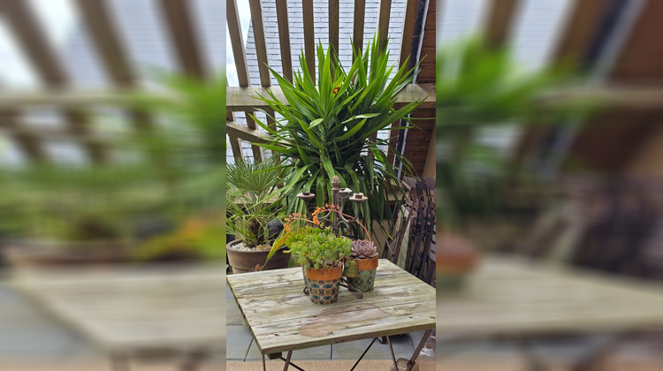 Ma-Cabane - Vente Appartement SAINT LUNAIRE, 94 m²