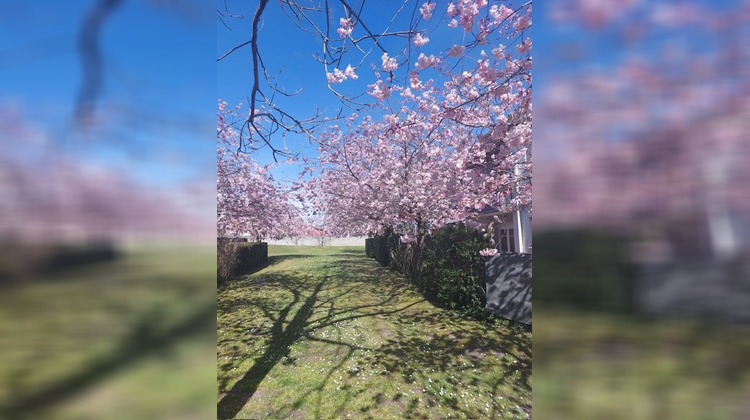 Ma-Cabane - Vente Appartement Saint-Médard-en-Jalles, 43 m²