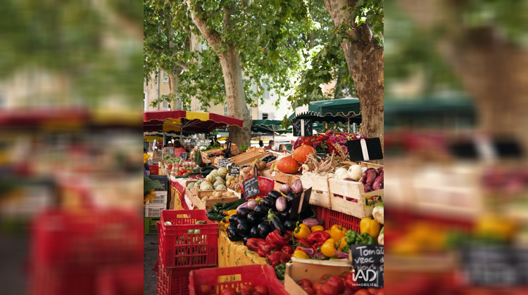 Ma-Cabane - Vente Appartement Saint-Rémy-de-Provence, 61 m²