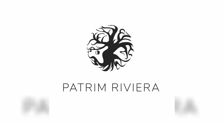 Ma-Cabane - Vente Appartement Sainte-Geneviève-des-Bois, 20 m²