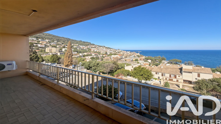 Ma-Cabane - Vente Appartement San-Martino-Di-Lota, 84 m²