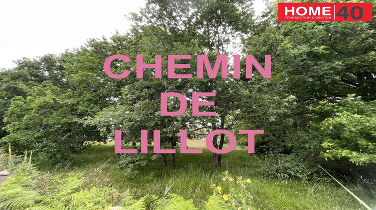 Ma-Cabane - Vente Appartement Sanguinet, 138 m²