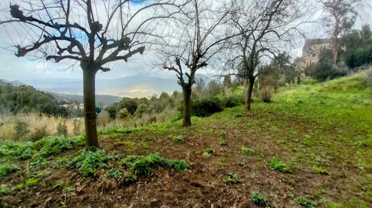 Ma-Cabane - Vente Appartement SARTENE, 81 m²