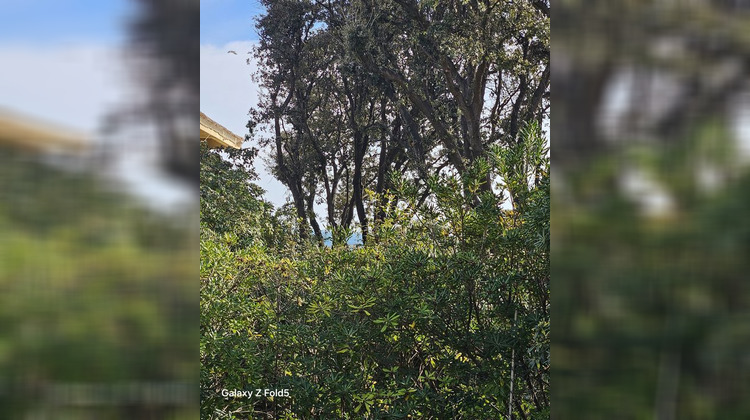 Ma-Cabane - Vente Appartement SAUSSET LES PINS, 33 m²