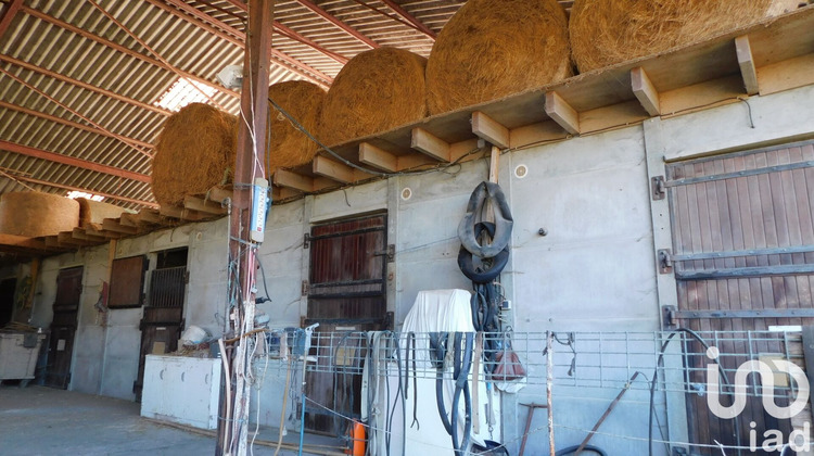 Ma-Cabane - Vente Appartement Savigny-en-Véron, 500 m²