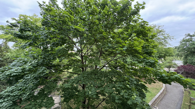 Ma-Cabane - Vente Appartement Savigny-sur-Orge, 36 m²