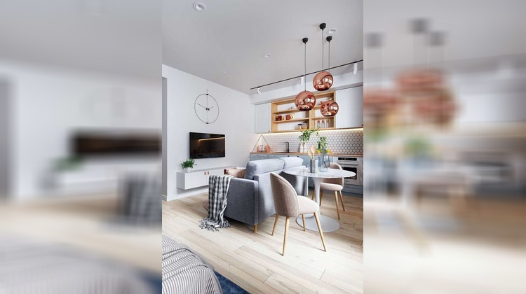 Ma-Cabane - Vente Appartement Schiltigheim, 45 m²