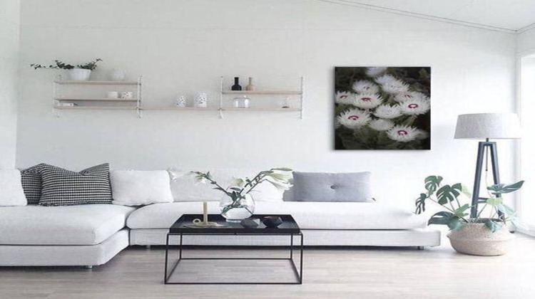 Ma-Cabane - Vente Appartement SCIEZ, 66 m²