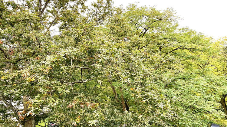 Ma-Cabane - Vente Appartement SEVRES, 77 m²