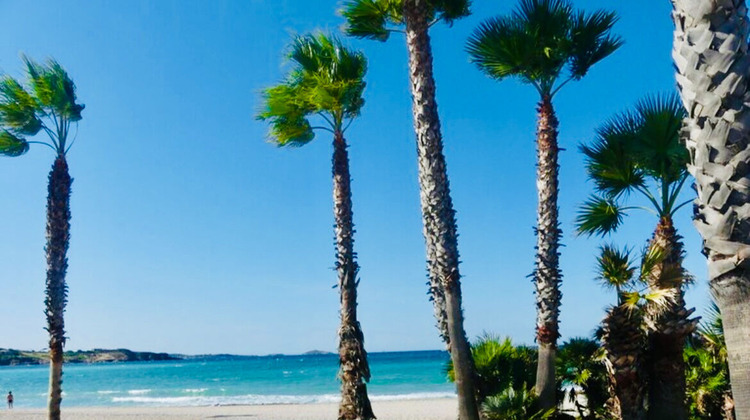 Ma-Cabane - Vente Appartement SIX-FOURS-LES-PLAGES, 89 m²