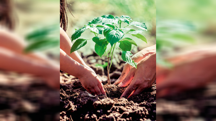 Ma-Cabane - Vente Appartement Thonon-les-Bains, 80 m²