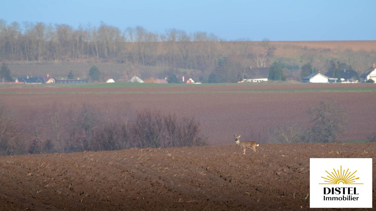 Ma-Cabane - Vente Appartement Truchtersheim, 80 m²