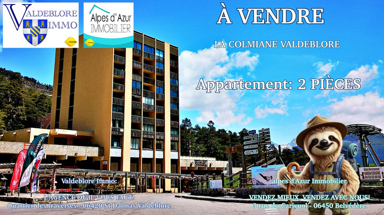 Ma-Cabane - Vente Appartement Valdeblore, 33 m²