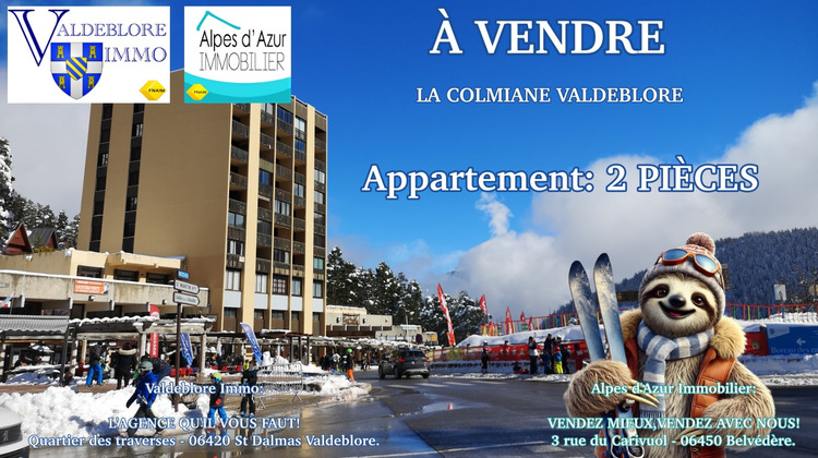 Ma-Cabane - Vente Appartement Valdeblore, 33 m²