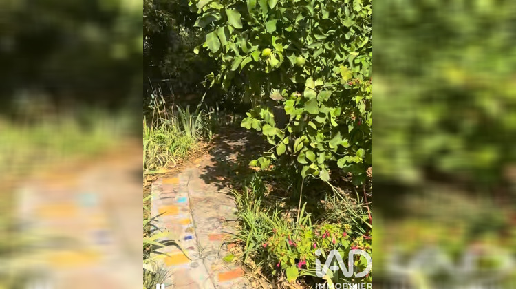 Ma-Cabane - Vente Appartement Vallauris, 80 m²