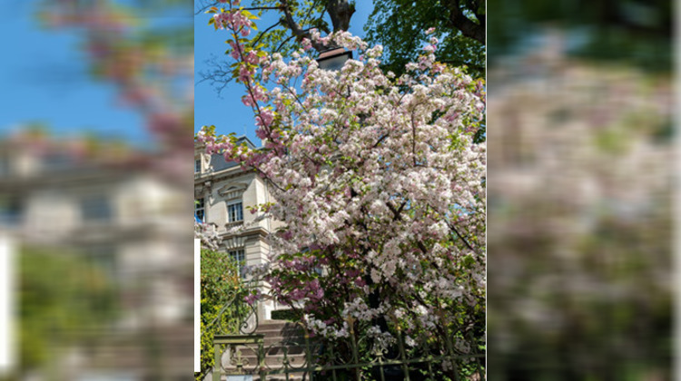 Ma-Cabane - Vente Appartement Vanves, 93 m²