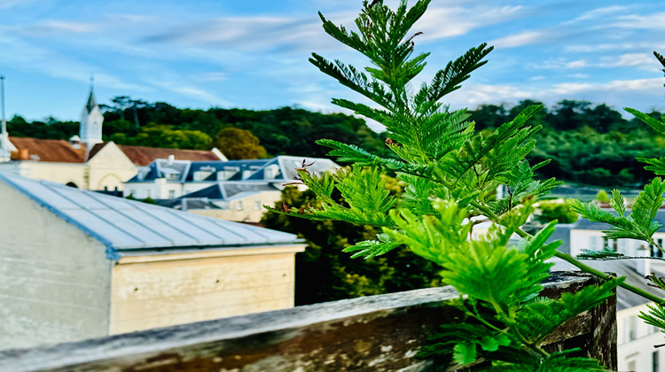 Ma-Cabane - Vente Appartement VERSAILLES, 180 m²