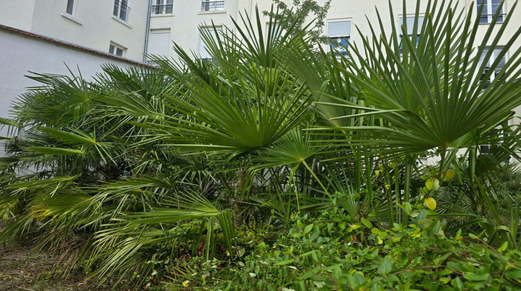 Ma-Cabane - Vente Appartement VICHY, 26 m²