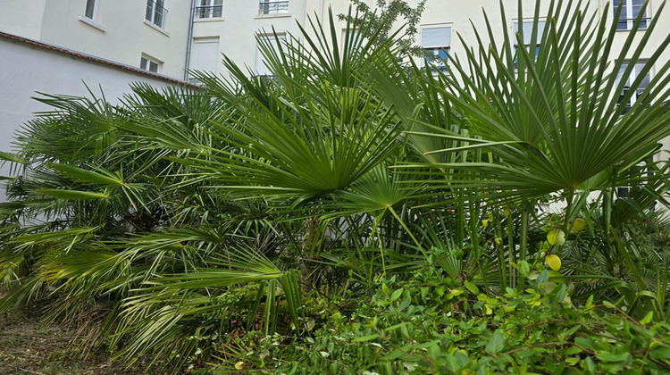 Ma-Cabane - Vente Appartement VICHY, 60 m²