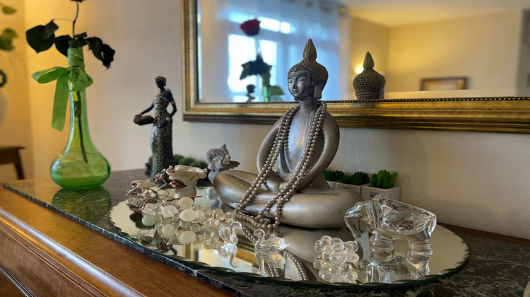 Ma-Cabane - Vente Appartement VIENNE, 71 m²