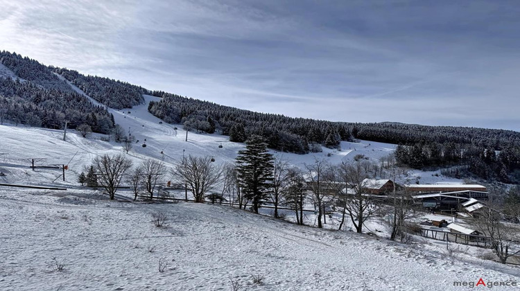 Ma-Cabane - Vente Appartement VILLARD DE LANS, 43 m²