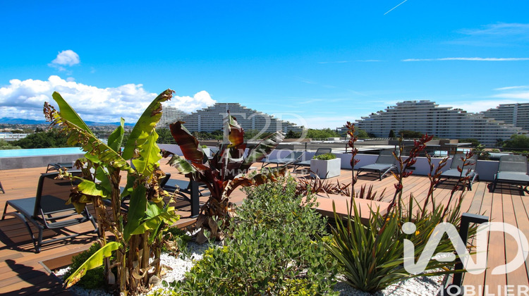 Ma-Cabane - Vente Appartement Villeneuve-Loubet, 62 m²