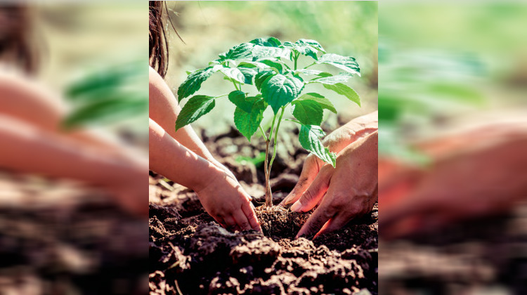 Ma-Cabane - Vente Appartement Villers-sur-Mer, 67 m²