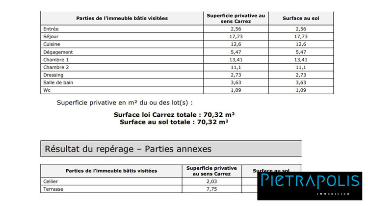 Ma-Cabane - Vente Appartement Villeurbanne, 75 m²
