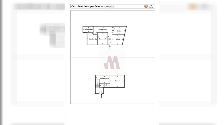 Ma-Cabane - Vente Appartement Villeurbanne, 68 m²