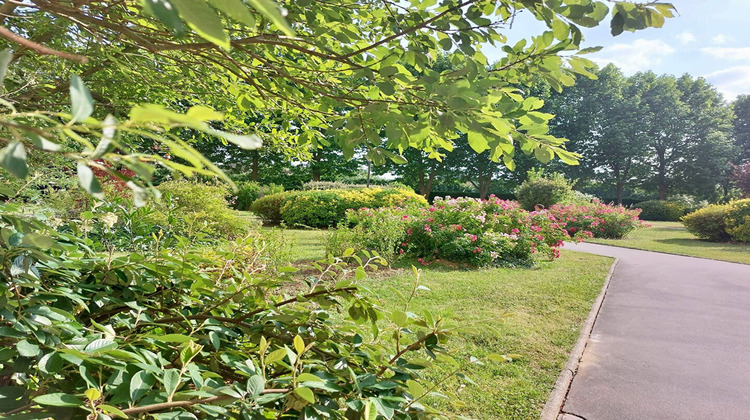 Ma-Cabane - Vente Appartement VINCENNES, 63 m²