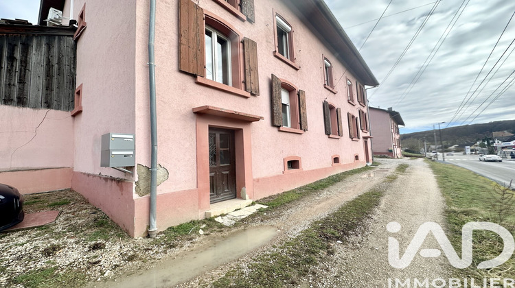 Ma-Cabane - Vente Appartement Waldighofen, 42 m²