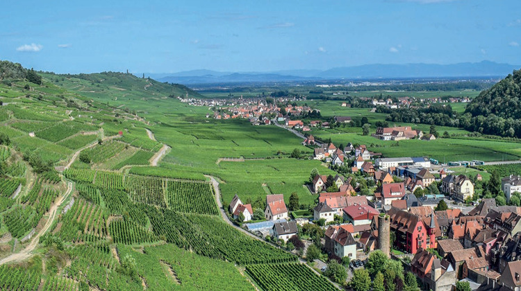 Ma-Cabane - Vente Appartement Wintzenheim, 38 m²