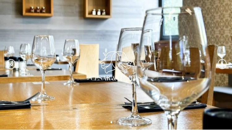 Ma-Cabane - Vente Boutique Écully, 350 m²