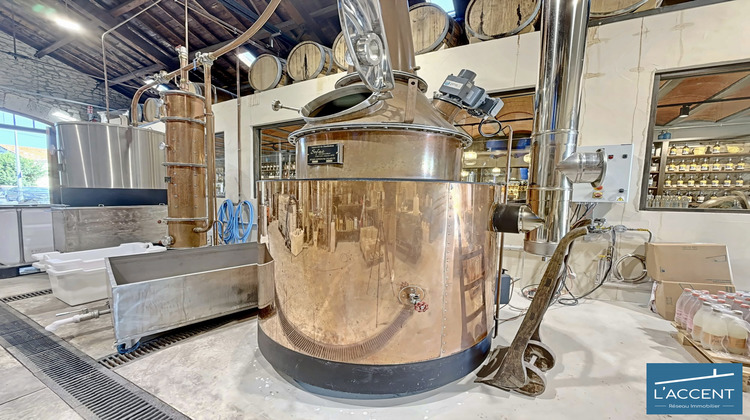 Ma-Cabane - Vente Boutique Aigues-Mortes, 350 m²