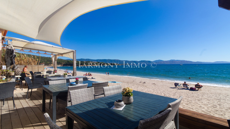 Ma-Cabane - Vente Boutique Ajaccio, 141 m²