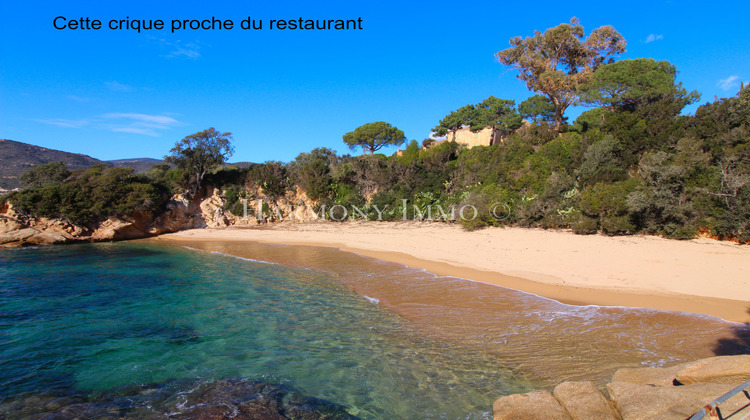 Ma-Cabane - Vente Boutique Ajaccio, 141 m²