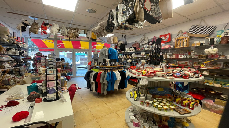 Ma-Cabane - Vente Boutique Amélie-les-Bains-Palalda, 45 m²