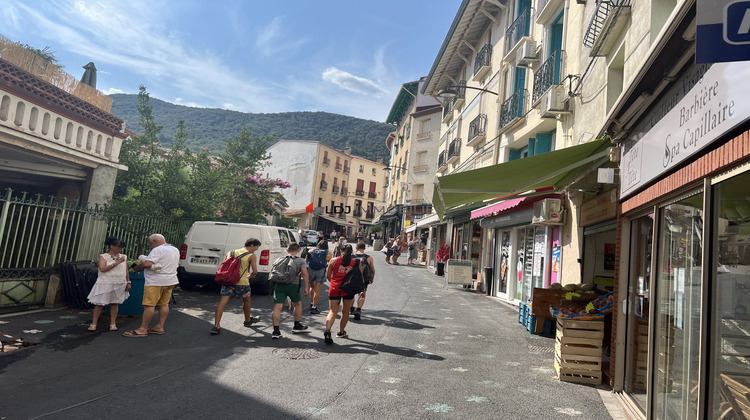 Ma-Cabane - Vente Boutique Amélie-les-Bains-Palalda, 35 m²