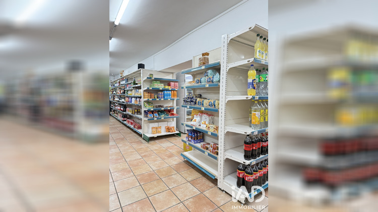 Ma-Cabane - Vente Boutique Amélie-les-Bains-Palalda, 148 m²