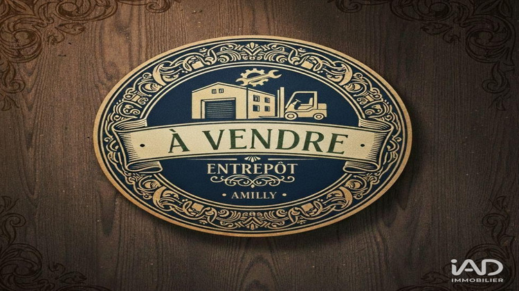 Ma-Cabane - Vente Boutique Amilly, 631 m²