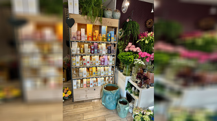 Ma-Cabane - Vente Boutique ANGERS, 60 m²