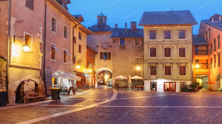 Ma-Cabane - Vente Boutique Annecy, 100 m²