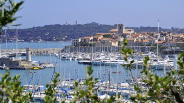 Ma-Cabane - Vente Boutique Antibes, 41 m²