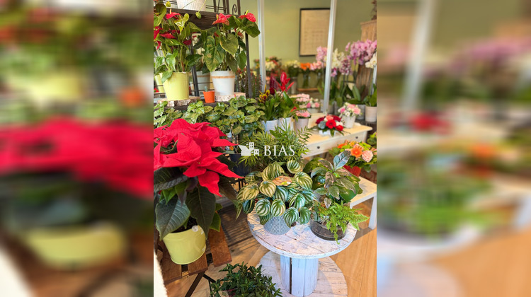 Ma-Cabane - Vente Boutique Antony, 50 m²