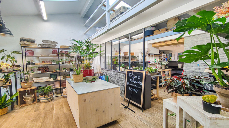 Ma-Cabane - Vente Boutique ASCAIN, 60 m²