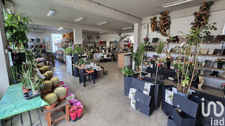 Ma-Cabane - Vente Boutique Aubignan, 250 m²